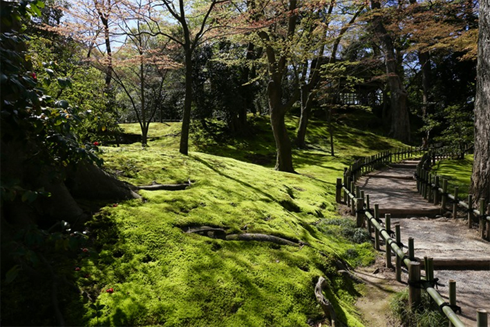 Méthode Vittoz illustration